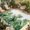 Green, White, variant on Indoor Outdoor Area Rugs,Summer Monstera Tropical Leaves Washable Patio Rug Non-slip Quick Dry Camping Rugs,Watercolor Green Leaf Floor Carpet for Porch Deck Backyard RV Decor,6x9ft