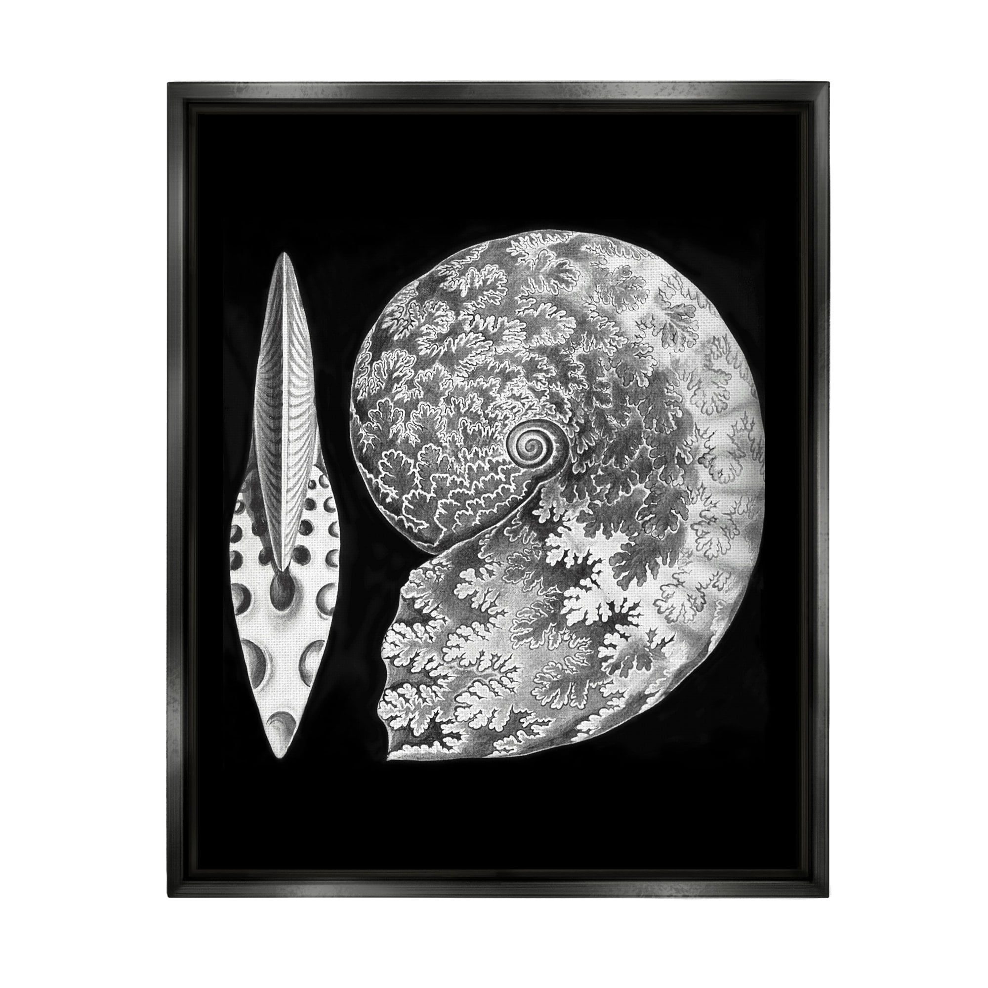 Stupell Industries Detailed Patterned Nautilus Spiral Seashell Modern Design Graphic Art Metallic Gold Floating Framed Canvas Print Wall Art, Design by Graffitee Studios