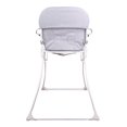 thumbnail image 3 of Silla Periquera Baby Throne Plegable Gris, 3 of 3