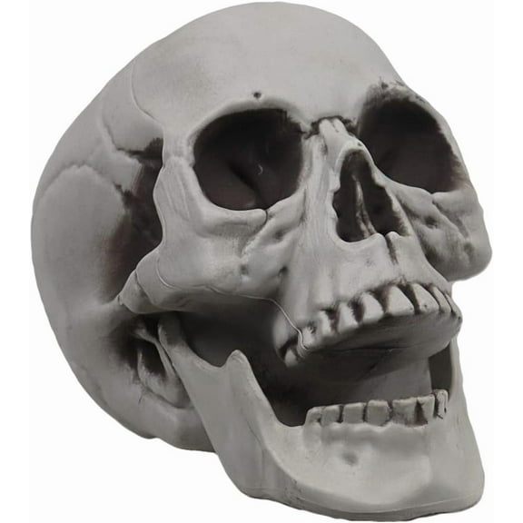 Life Size Skeleton Skull for Halloween Decor Graveyard Outdoor White