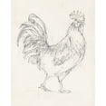 thumbnail image 2 of Harper, Ethan 20x24 White Modern Wood Framed Museum Art Print Titled - Rooster Sketch I, 2 of 4