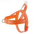 thumbnail image 1 of Easywalk, correa para el pecho para perros medianos y pequeños a prueba de explosiones, correa para el pecho para perros, correa y tracción para perros estilo chaleco Golden Retriever transpirable, 1 of 5