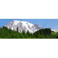 thumbnail image 2 of Wild, Jamie and Judy 32x14 Black Ornate Wood Framed with Double Matting Museum Art Print Titled - Washington State-Mount Rainier National Park View from Skyline Trail, 2 of 4