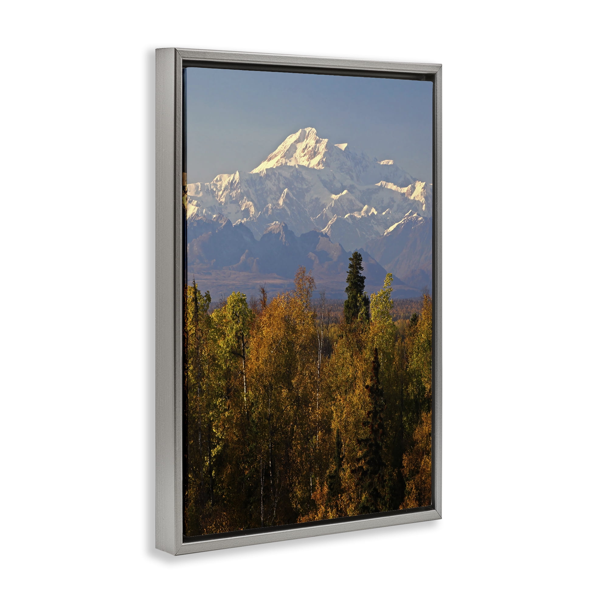 Stupell Industries Danali Autumn Landscape Landscape & Nature Photography Gray Floater Framed Canvas Art Print Wall Art, 17 x 25
