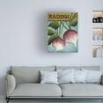 thumbnail image 2 of Canvas Wall Art - Debbi Wetzel 'Seed Packets 02 - Radish' Wall Art for Living Room, Bedroom, or Office Décor by Trademark Fine Art - 14 x 19 Inches, 2 of 4