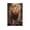 Unframe-style, variant on Christian Wall Art Lion of Judah Vintage Canvas Painting Print Lion Picture Poster Painting On Canvas Wall Art Poster Scroll Picture Print Living Room Walls Decor Home Posters 24x36inch(60x90cm)