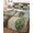 Green, Brown, White, variant on Quilt King Size Bedding Set, Vintage Leaves Reversible Summer Quilt 3 Pieces, Green Palm Plants Ginkgo Rustic Botanical Lightweight Bedspreads Coverlets with 2 Pillow Shams for All Seasons