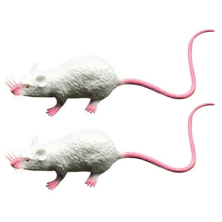 Boao 6 Pcs Plastic Rat Fake Rat Toys Plastic Mice Simulation Mouse Toys  April Fools' Day Terrible Prank Party Halloween Props Cats and Dogs  Interesting Toys Dec…