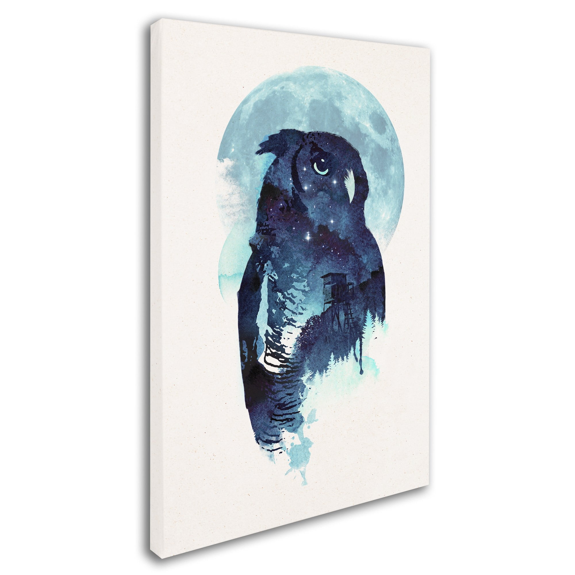 Trademark Fine Art 'Midnight Owl' Canvas Art by Robert Farkas