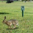 2PACKS Solar Ultrasonic Animal Repellent Dog Skunk Deer Raccoon For