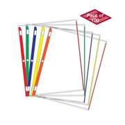 ENVYPAK Sheet Protectors Color-Coded Edges 8.5" X 11" Pack of 100 (Assorted) - Made in USA