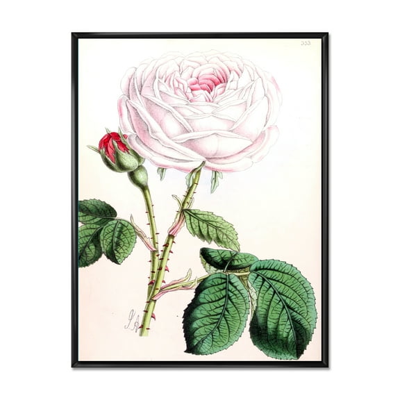 Ancient Pink Flower 12 in x 20 in Framed Painting Canvas Art Print, by Designart