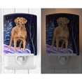 thumbnail image 2 of Caroline's Treasures SS8355CNL Starry Night Chesapeake Bay Retriever Ceramic Night Light, 6x4x3", multicolor, 2 of 2