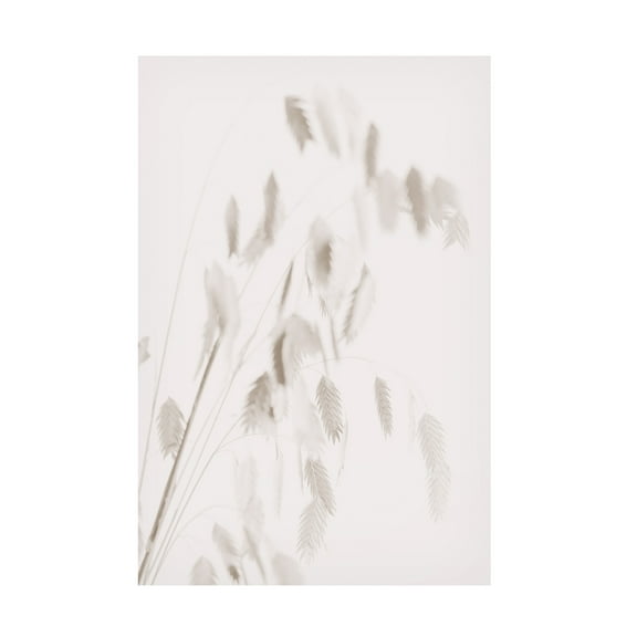 Trademark Fine Art Pictufy Studio Dried Grass Pink Canvas Wall Art