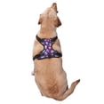thumbnail image 2 of Naloa Skull Blue Flower Pet Harness Vest with Traction Rope, Adjustable No-Choke Dog Vest for Outdoor, Walking - X-Large, 2 of 4