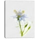 Croquis de Fleur Aquarelle Vert Blanc - Toile Florale Art Imprimer – image 2 sur 4