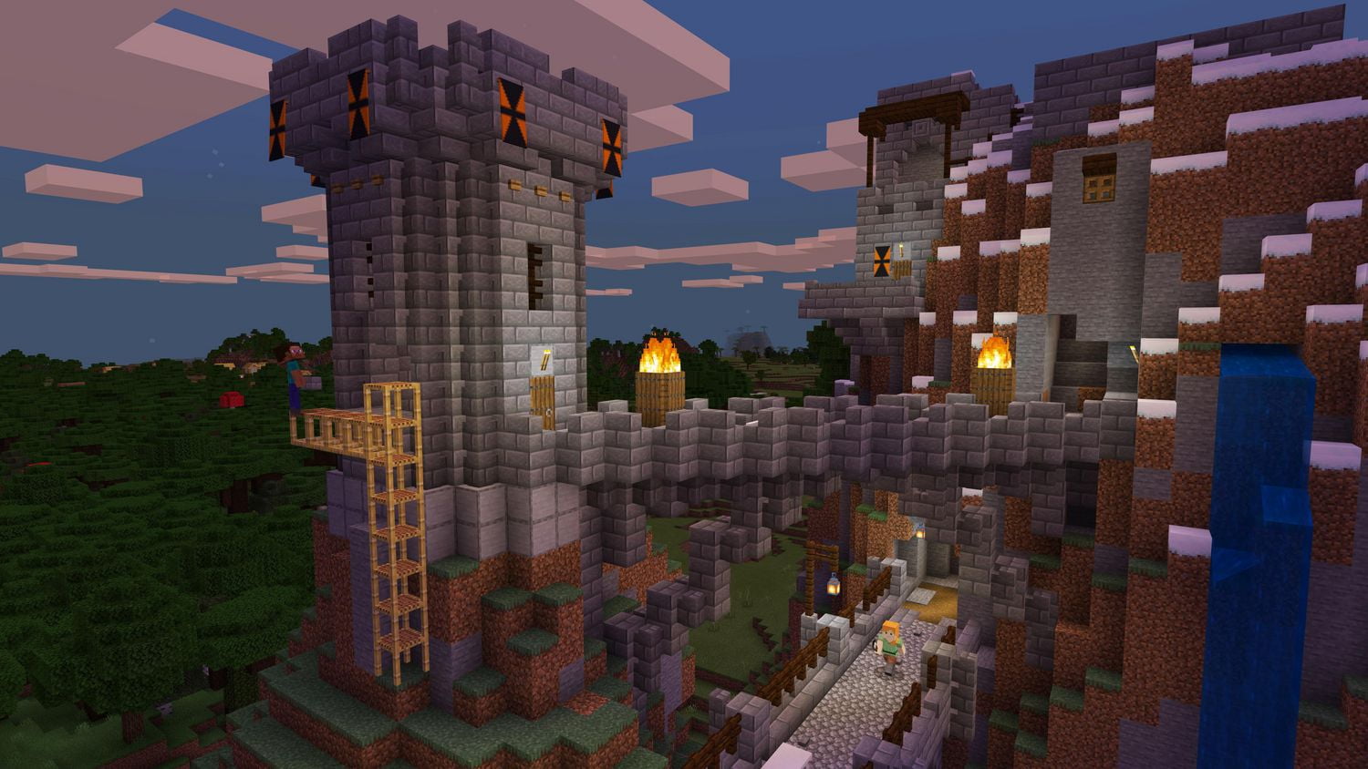 Jeu vidéo Minecraft Bedrock Edition pour (PS5)