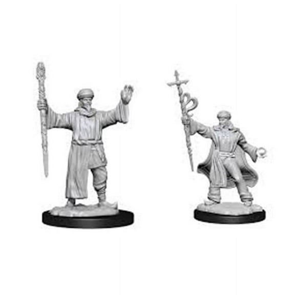 Dungeons & Dragons Nolzur`s Marvelous Unpainted Miniatures: W13 Human Wizard Male