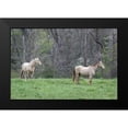 thumbnail image 2 of Head, Danny 14x11 Black Modern Framed Museum Art Print Titled - Buddies I, 2 of 5