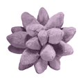 thumbnail image 3 of Almohadas de tiro Gloria flor de simulación rellena de felpa, 3 of 3