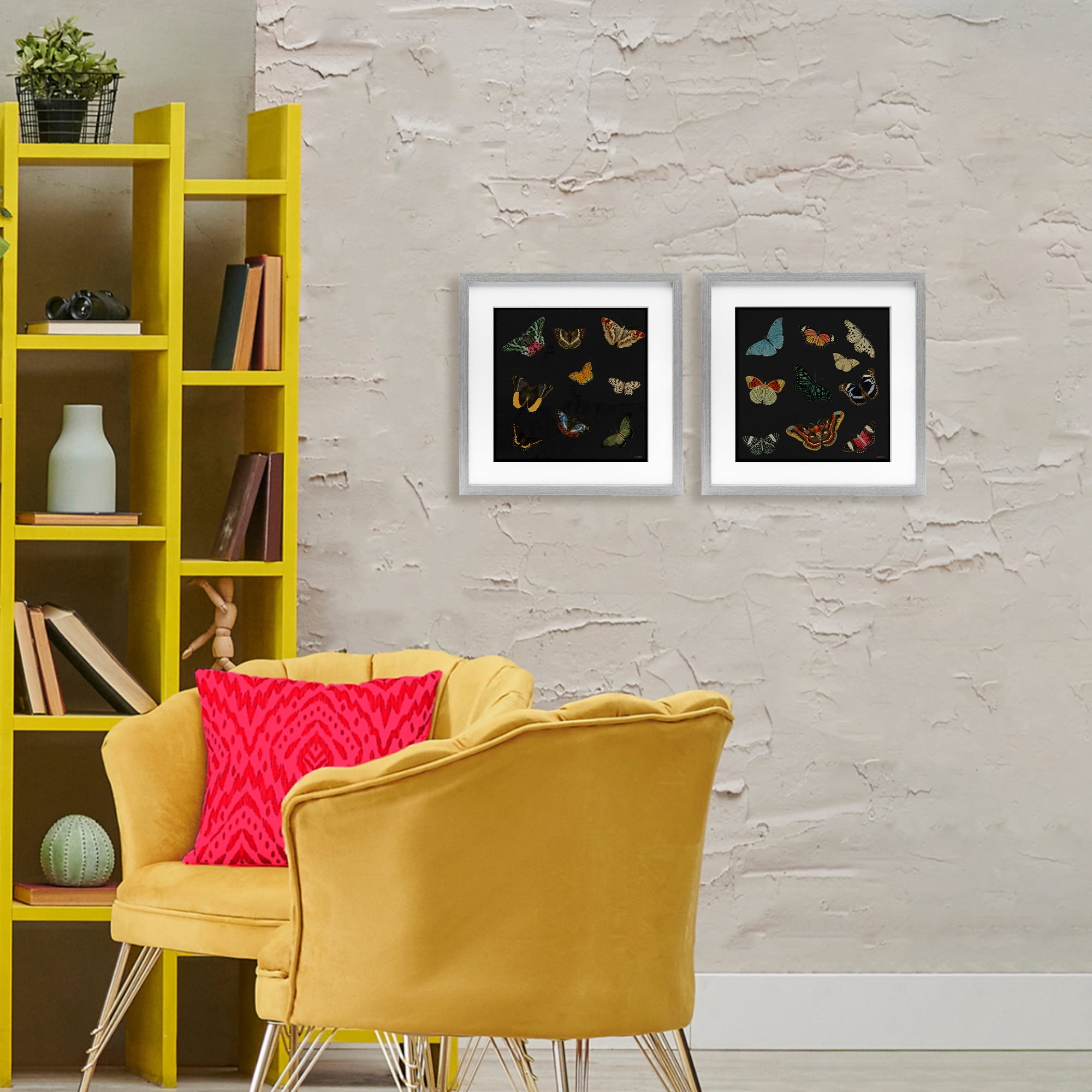 Stupell Industries Entomology Collection on Black 2 Piece Gray Framed Print Under Glass Set, design by Dan Meneely