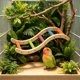 thumbnail image 5 of Juguete de escalera de madera para pájaros con gimnasio de actividades colgante, multicolor, accesorios para jaulas de aves pequeñas para trepar, morder, hacer ejercicio y jugar., 5 of 6