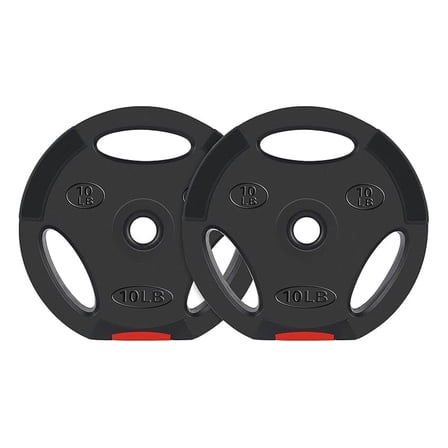 YYDSBNHH Vinyl Weight Plates 1 Inch - 10lb Pair for Weightlifting - Standard Plates for Home Gym - Strength Training Equipment - Durable Non-Corrosive