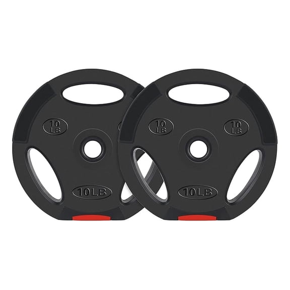 YYDSBNHH Vinyl Weight Plates 1 Inch - 10lb Pair for Weightlifting - Standard Plates for Home Gym - Strength Training Equipment - Durable Non-Corrosive