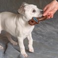 Spot BamBone Dental Pacifier Bison Flavor 5.5 Inch Dog Toy - Walmart.com