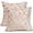 Vintage Spring Print Light Pink Cream, variant on Light Pink Floral Pillow Covers 16x16 Set of 2 Botanical Print Vintage Spring Flower Plant Cream Decorative Throw Pillow Cases Outdoor Farmhouse Cushion Covers Decor for Sofa Couch Bed