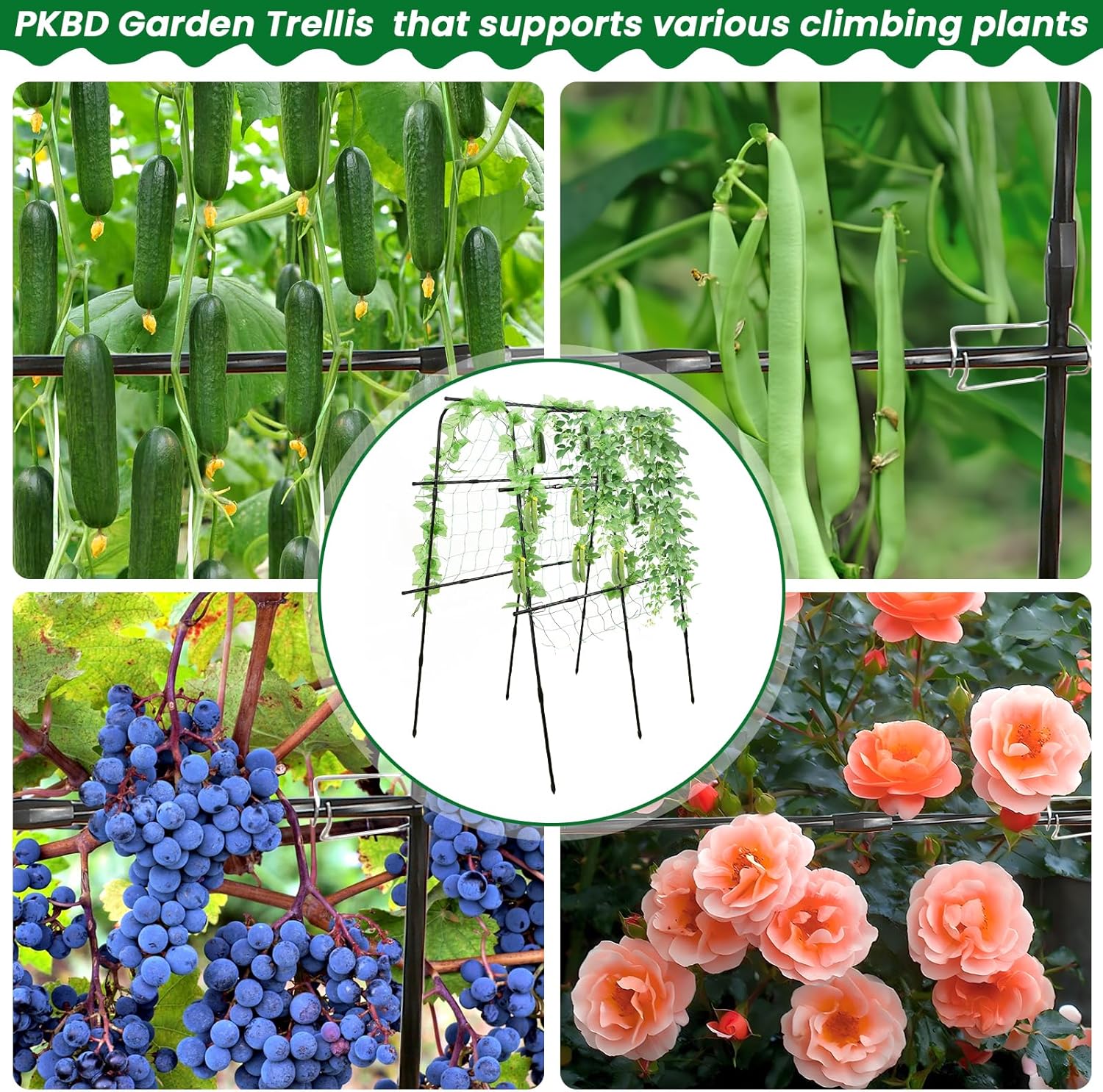 Tall Garden Arch Trellis for Climbing Plants Outdoor, 5 ft Tall Polyethylene-Coated Stainless Steel Garden Arch for Climbing Vine Vegetable/Fruit/Flower, Cucumber Trellis for Raised Bed, Black