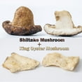 thumbnail image 2 of Mushroom Chips Snacks, Good Salted Vegetable Snack Chip 8.82Oz, 250g, 2 of 5