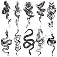 thumbnail image 1 of Etiqueta Engomada Del Tatuaje Animal Brazo 10pcs Impermeable para Hombres Y Mujeres, 1 of 9