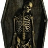 Advanced Graphics 1165 Skeleton Casket Cardboard Standup