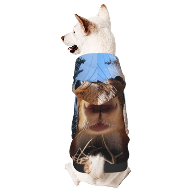 Fotbe Close-Up Curious Squirrel Sudadera con Estampado para Perros Pequeños – Suéter con Capucha para Mascotas, Tela Suave de Forro Polar con Bolsillo-Small