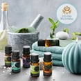thumbnail image 6 of Set of 6 Premium Scented Fragrance Oil for Candle Making, Soap Making, Incense, Potpourri & Aroma Diffuser - Lemongrass, Peppermint, Orange, Lavender, Eucalyptus, Tea Tree Scents, 10ml Bottles, 6 of 6