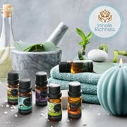 Set of 6 Premium Scented Fragrance Oil for Candle Making, Soap Making, Incense, Potpourri & Aroma Diffuser - Lemongrass, Peppermint, Orange, Lavender, Eucalyptus, Tea Tree Scents, 10ml Bottles