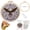 B, variant on US 250th Anniversary Cross Stitch Kit, USA 250th Anniversary Embroidery Kit for Adults Beginner, 1776-2026 Flag Bell Eagle Pattern with 6 Hoop,Threads,Needles, Complete Craft Set for Wall DecorC