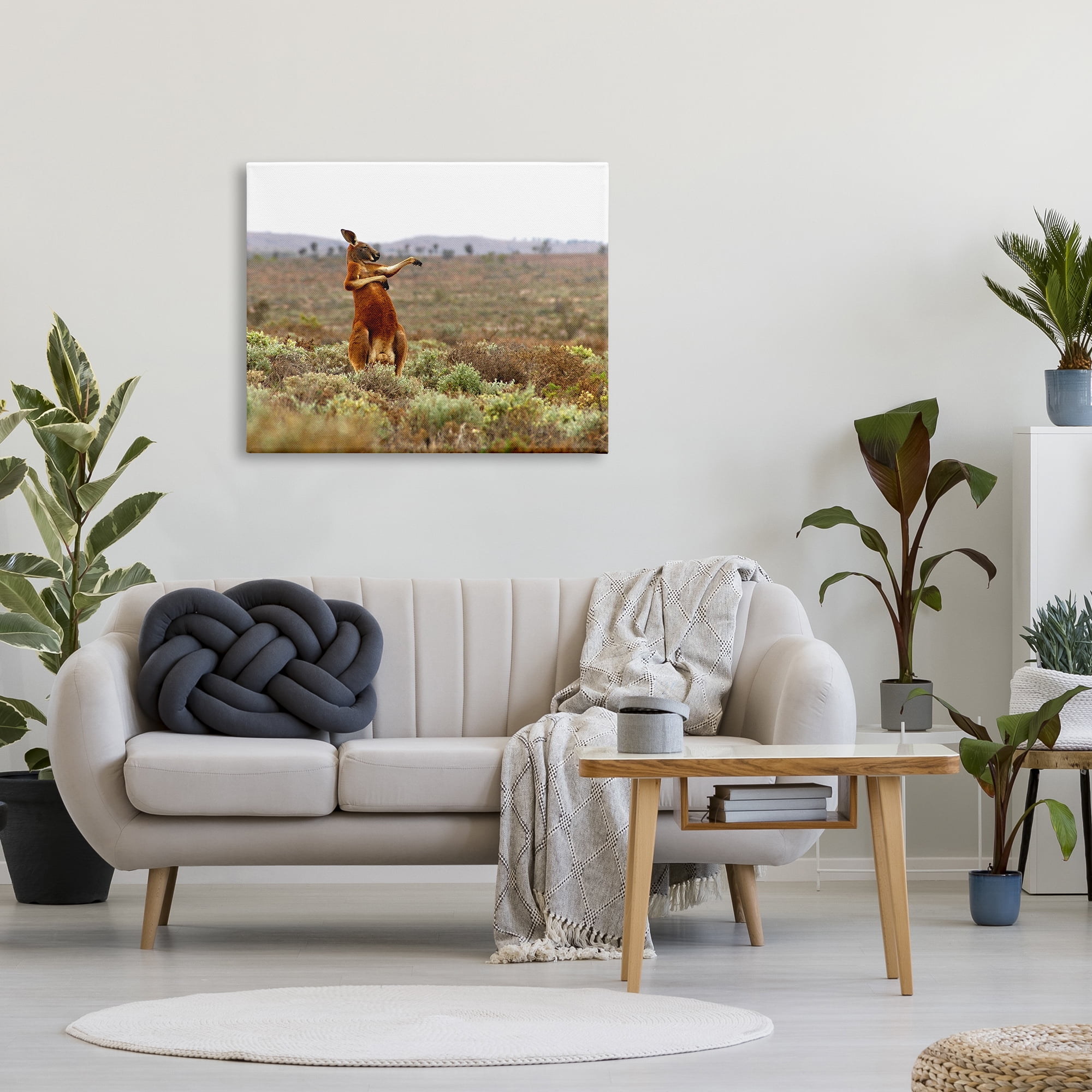 Stupell Industries Kangaroo Savanna Landscape Animals & Insects Photography Gallery Wrapped Canvas Art Print Wall Art, 40 x 30