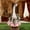 Multicolor532, variant on Tuvgenk Porch Goose Outfit Multicolor 17 in Porch Goose Clothes Cloth Decoration Yard Gifts for Others