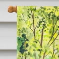 thumbnail image 3 of Carolines Treasures SS8181CHF Drapeau Afghan Hound en Toile - Taille Maison, 3 of 4