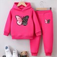 thumbnail image 2 of HCNTES Baby Girl Clothes Winter Girls Sets 2 Pieces, Butterfly Printed Pullover Long Sleeve Hoodies Sweatpants Set, 2 of 4