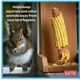 thumbnail image 6 of Kaytee Corn on the Cob, Squirrel and Critter Feed, 6.5 lb. Bag, Dry, 1 Pack, 6 of 8
