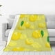 thumbnail image 1 of Balery Bright Lemons Manta de Felpa Suave y Acogedora – Cobija de Franela Aterciopelada para Cama, Lavable y Cálida para Sofá, Mascotas, Transpirable-40"x30", 1 of 7