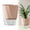 Pink, variant on Haidf Self Watering Planter, Clear Plastic Self Watering Plant Pots with Water Reservoirs, Self Watering Pots for Indoor Plants, African Violets, Flowers, Bottom Watering Pots, 4.7", Blue