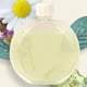 thumbnail image 1 of El ambientador elimina el aceite de los olores del olor para la máquina automática de aromaterapia M37 Ygjytge Cuidado Belleza, 1 of 3