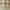 Taupe, variant on BrylaneHome Buffalo Check Rod-Pocket Valance