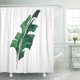 thumbnail image 1 of Cortina de Ducha ABPHQTO de Acuarela Hoja Tropical Verde 150x180 cm, 1 of 1