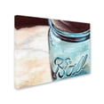 thumbnail image 2 of Trademark Fine Art "Ball Jar" Canvas Art by Jennifer Redstreake, 2 of 3