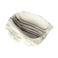 thumbnail image 2 of Plato de agua para reptiles, comedero para reptiles, plato para terrario, decoración de tanque, tazón de alimentación decorativo, de comida para, 2 of 7